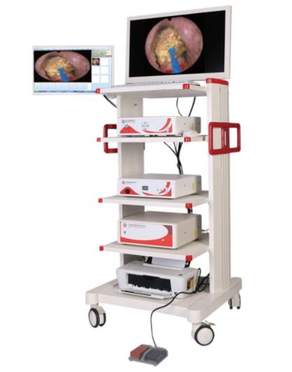 Portable Digital Video ENT Endoscope Flexible Video Bronchoscope